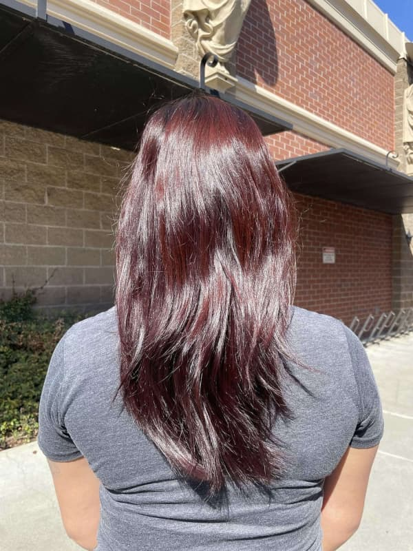 Rich auburn hair color created at our Davis salon